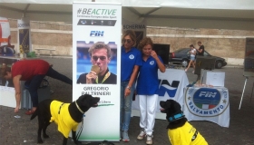 sett-eur-sp-38